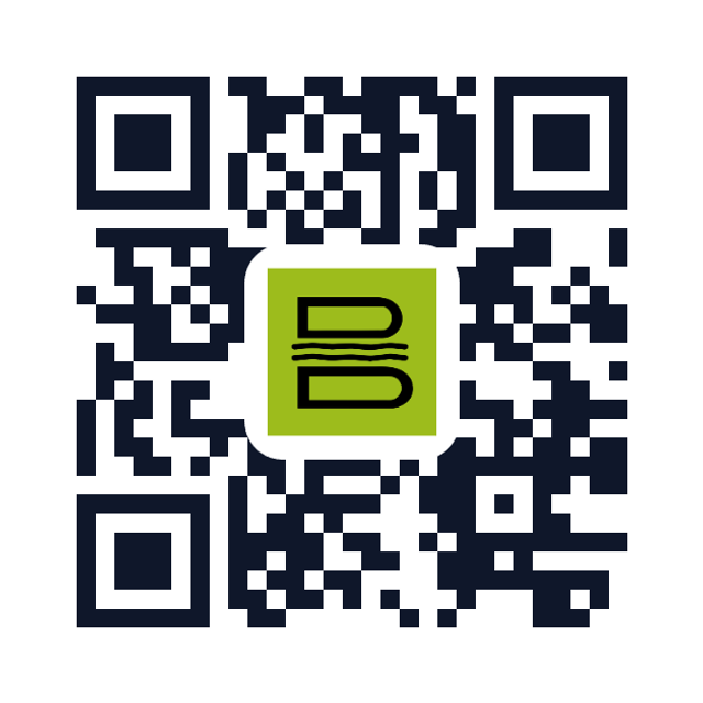 QR soythebigboss.menu